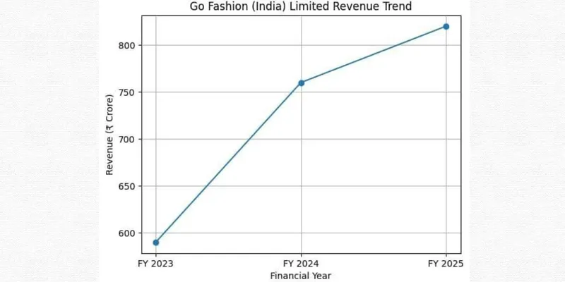 Go Fashion India Limited FINANCIAL AND BUSINESS ANALYSIS REPORT
